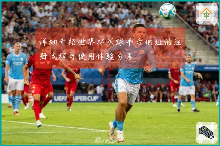 详细介绍世界杯买球平台地址的注册流程与使用体验分享