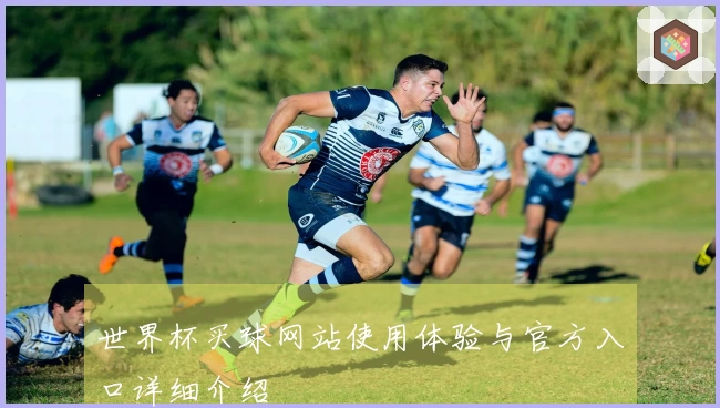 世界杯买球网站使用体验与官方入口详细介绍