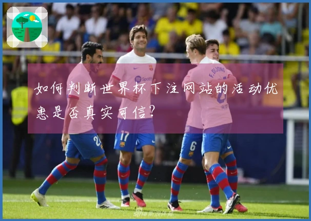 如何判断世界杯下注网站的活动优惠是否真实可信？