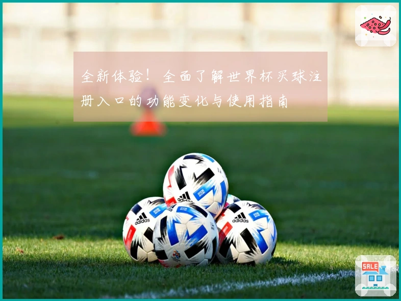 全新体验！全面了解世界杯买球注册入口的功能变化与使用指南