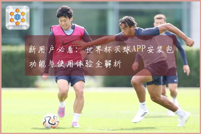 新用户必看：世界杯买球APP安装包功能与使用体验全解析