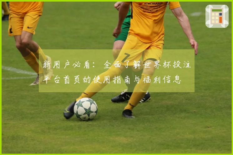 新用户必看：全面了解世界杯投注平台首页的使用指南与福利信息
