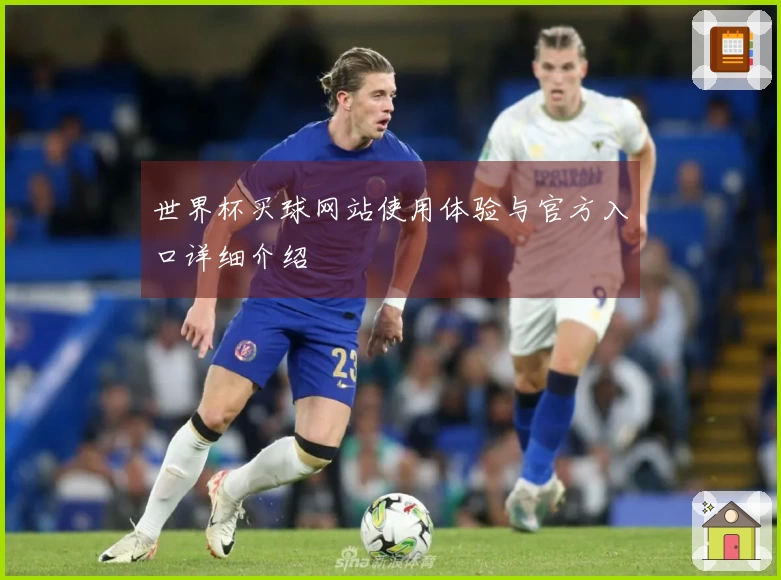 世界杯买球网站使用体验与官方入口详细介绍
