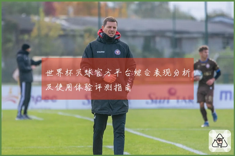 世界杯买球官方平台综合表现分析及使用体验评测指南