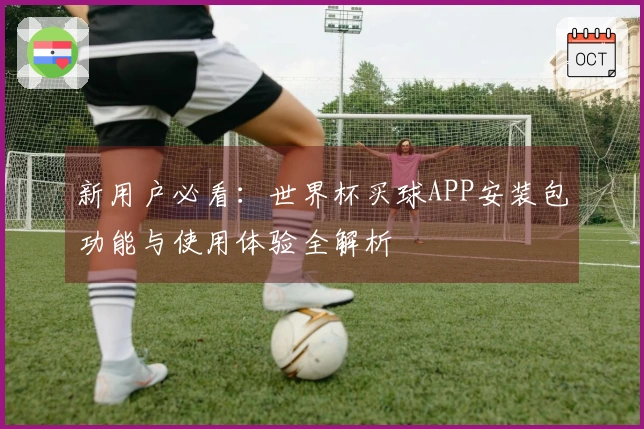 新用户必看：世界杯买球APP安装包功能与使用体验全解析