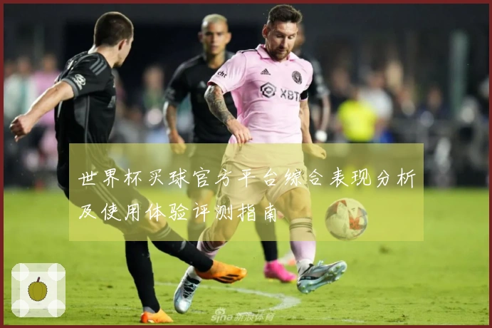世界杯买球官方平台综合表现分析及使用体验评测指南