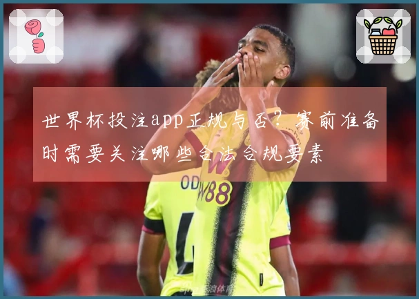 世界杯投注app正规与否？赛前准备时需要关注哪些合法合规要素