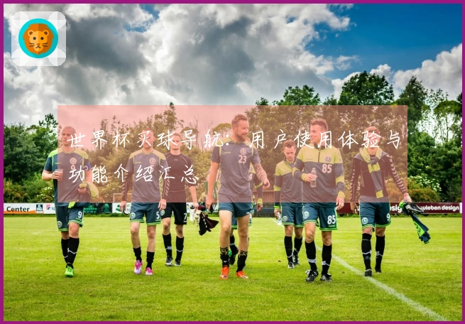 世界杯买球导航:用户使用体验与功能介绍汇总
