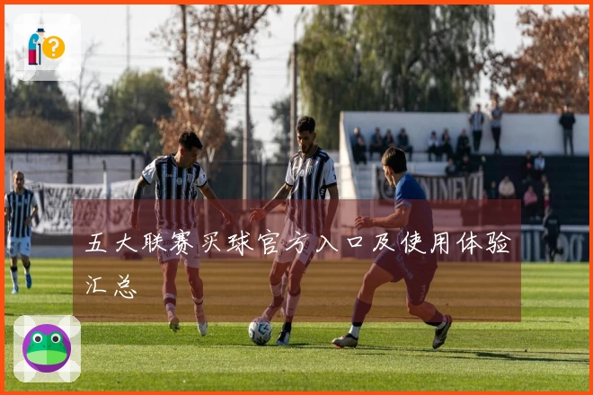 五大联赛买球官方入口及使用体验汇总