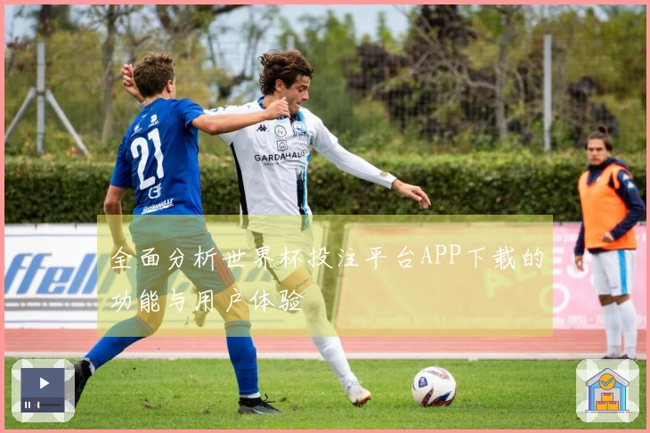 全面分析世界杯投注平台APP下载的功能与用户体验