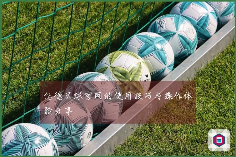 亿德买球官网的使用技巧与操作体验分享