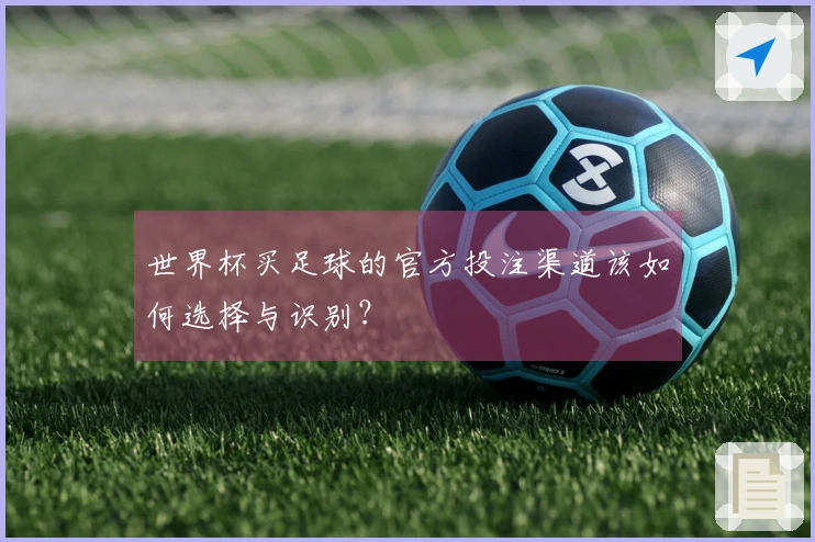 世界杯买足球的官方投注渠道该如何选择与识别？