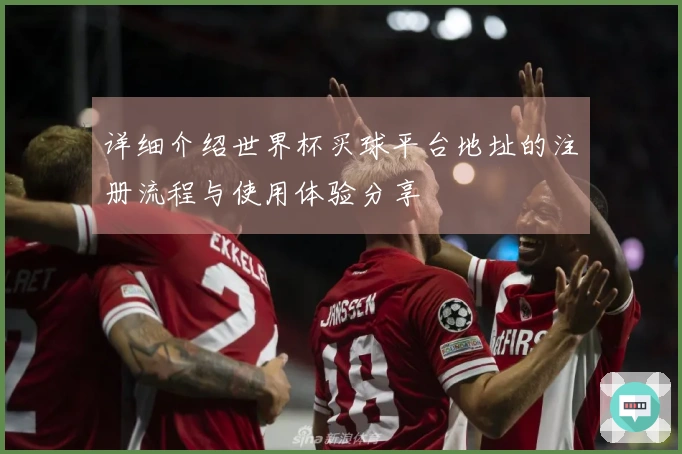 详细介绍世界杯买球平台地址的注册流程与使用体验分享
