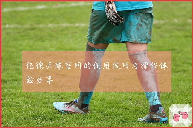 亿德买球官网的使用技巧与操作体验分享