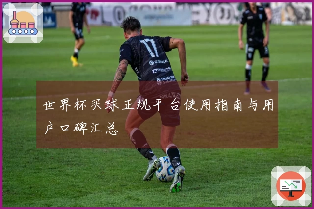 世界杯买球正规平台使用指南与用户口碑汇总